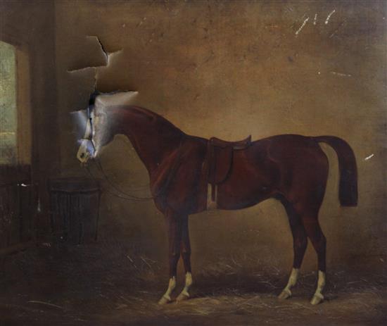 Henry Barraud (1811-1874) Portrait of the racehorse Nicholon by Orlando-Muscouileu Dam by Camel, foaled 1857, sold to Napoleon III, 2